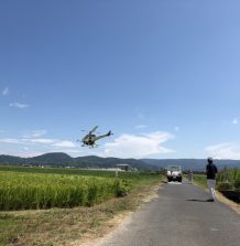 秋の気配？