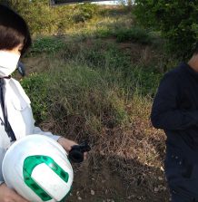 らっきょうの空散防除の試験をやりました