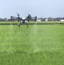 水稲防除作業　真っ最中